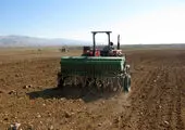 تولید علوفه بدون نیاز به خاک در ایران! + فیلم