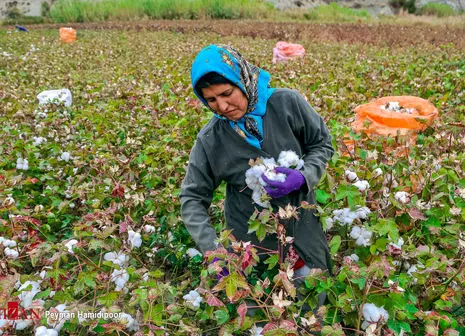 این کارگران در دریافت عیدی به مشکل می‌خورند