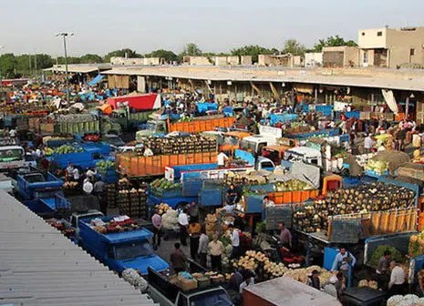 تیکه تند سخنگوی جوان دولت به روحانی در اولین نشست خبری خود