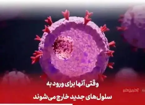 آمار فروش فیلم‌های نوروزی چنگی به دل نزد!