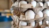 اعلام قیمت تخم مرغ (۶ مرداد ۱۴۰۲)