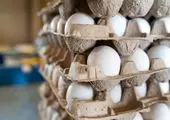 قیمت تخم مرغ محلی اعلام شد | بسته ۶ عددی تخم مرغ چند؟