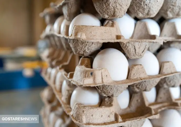 اعلام قیمت تخم مرغ (۶ مرداد ۱۴۰۲)