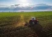 خودکفایی ایران در تولید گندم / وزارت جهاد کشاورزی خبر داد