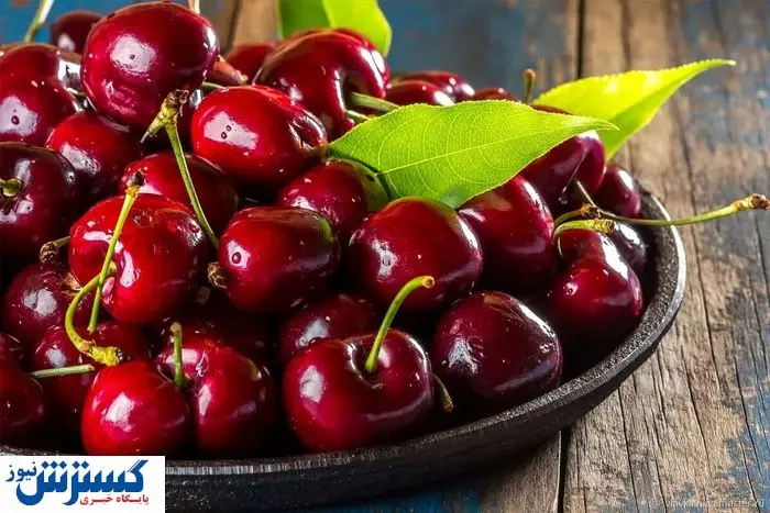 قیمت گیلاس کنترل شد | اوضع بازار تغییر کرد