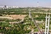 درختان پارک پردیسان قربانی پروژه جدید دولت شد