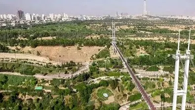 درختان پارک پردیسان قربانی پروژه جدید دولت شد