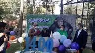 معروف‌ترین شامپانزه ایران از کشور رفت!