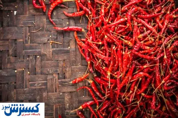 آمار واردات فلفل به کشور