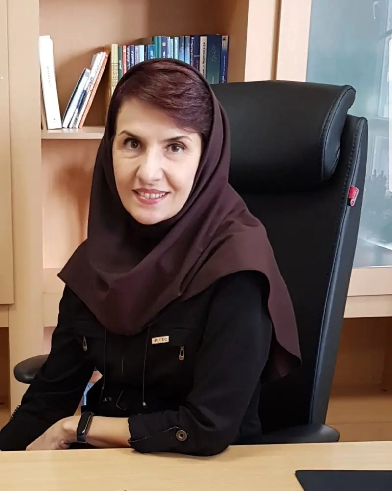 صادرات خدمات مهندسی و ساخت در زمینه معدن و صنایع معدنی به قاره آفریقا