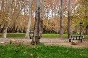 شکایت شهرداری از کاخ سعدآباد/ قصه پر غصه قطع درختان ادامه دارد