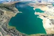 بلای جدید دامن‌گیر کشور شد
