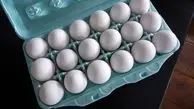 فوری / قیمت جدید تخم مرغ اعلام شد (۲۱ فروردین)