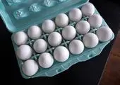 خبر خوش درباره صادرات تخم مرغ / قیمت ها بعد از ماه رمضان تغییر می کند؟