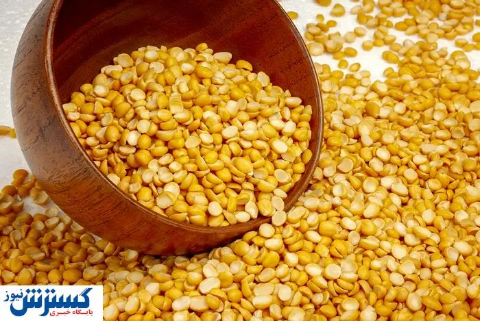 قیمت برنج و لپه افسار پاره کرد؛ قیمه لاکچری شد!