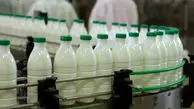 استفاده از شیر خشک در تولید لبنیات شایعه یا واقعیت؟