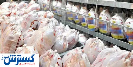 دولت هر چه سریع تر قیمت مرغ را اصلاح کند