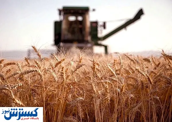 تضمین امنیت غذایی با اصلاح الگوی کشت