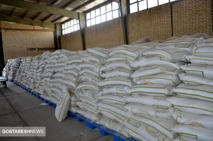 ۲۰۰ هزار تن برنج در آستانه فاسد شدن!