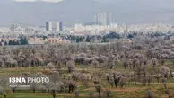 تصاویر/ شکوفه‌های بهاری قزوین 