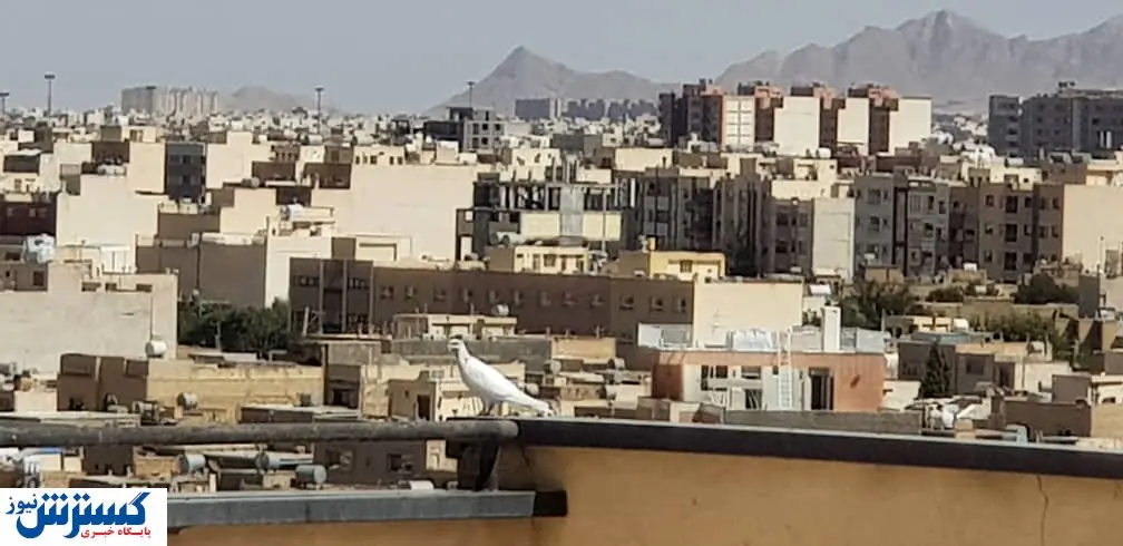 بلاتکلیفی بازار اجاره مسکن همچنان ادامه دارد!