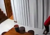حمله باورنکردنی یک گربه به تمساح!+ فیلم