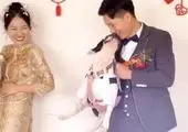 این سگ گران قیمت تبتی ۶۰۰ هزار دلار می ارزد!