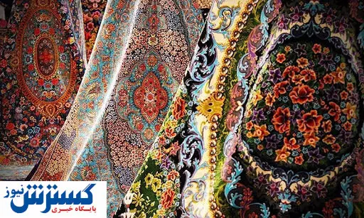 حاجی آقامیری:صادرات پشم مرغوب ممنوع است