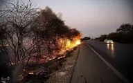 تصاویر/ آتشی که کشاورزان به پا کردند!