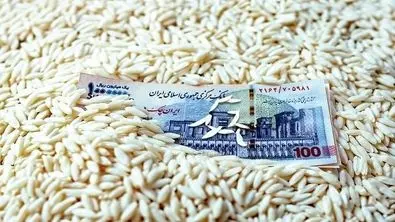 قیمت برنج در بازار حسابی قد کشید !