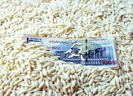 هشدار به خریداران برنج ایرانی | از این قیمت بالاتر نخرید